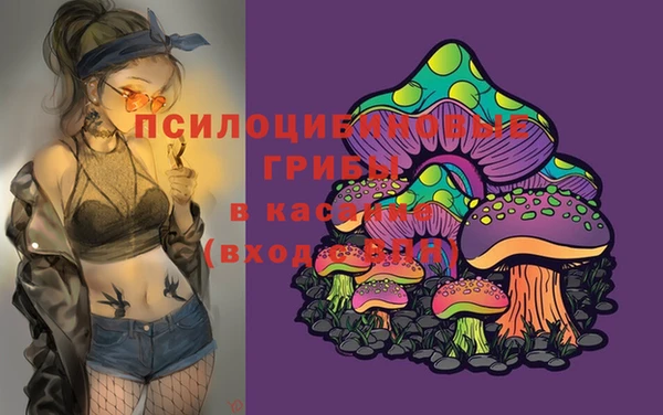 винт Алзамай